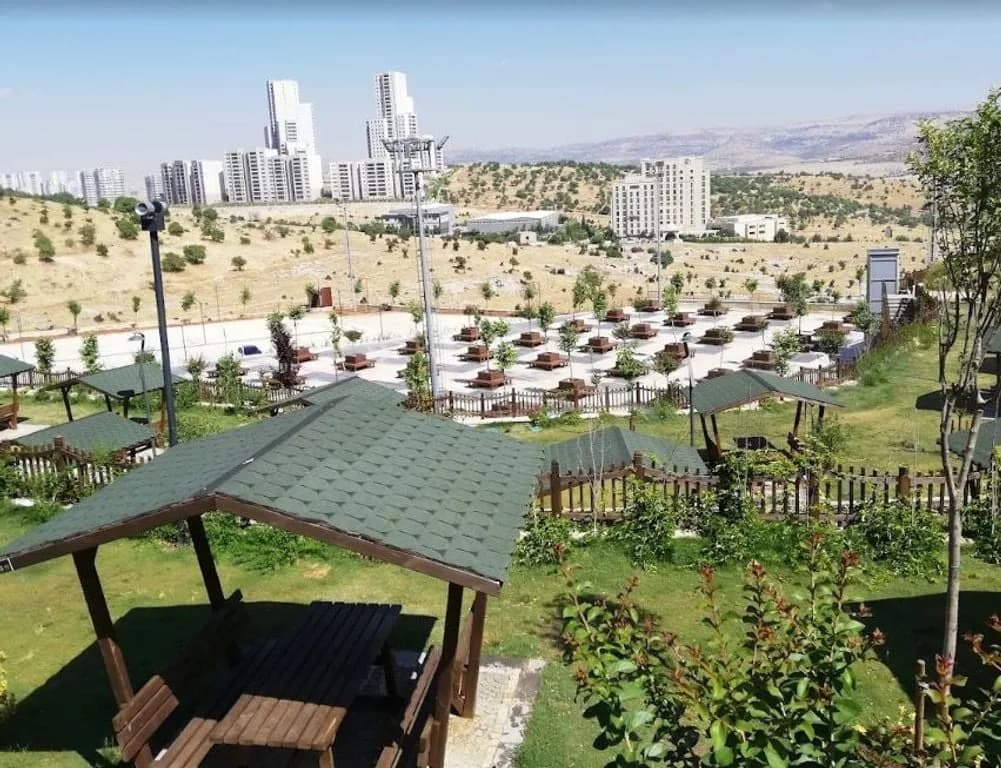 Kamor Millet Bahçesi ahşap pergola ve masa düzenlemesi